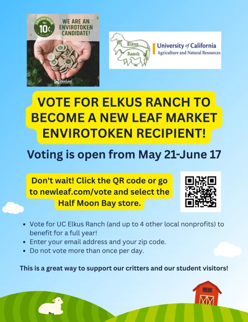 New Leaf Envirotoken Voting 2025