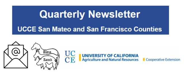 Quarterly Newsletter link